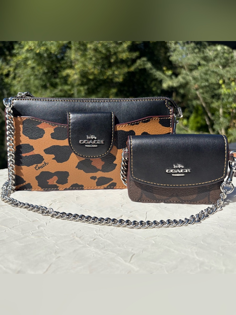 COACH Crossbody With Leopard Print And Signature Card Case CC868
